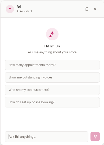 Bri chat — empty state